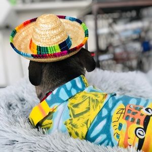 Meet your Posher, Ian